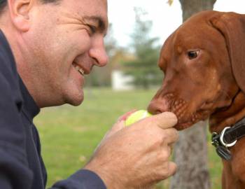 Things To Do Chef Bobby Trigg