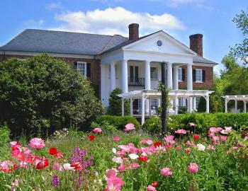 Things To Do Boone Hall Plantation