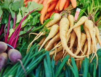 Things To Do Rosebank Farms