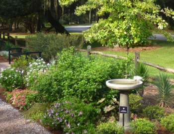 Things To Do Kiawah Conservancy