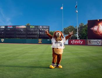 Things To Do Charleston RiverDogs