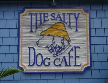 Things To Do The Salty Dog Cafe