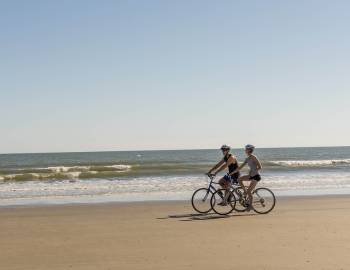 Thing To Do Bike Rentals